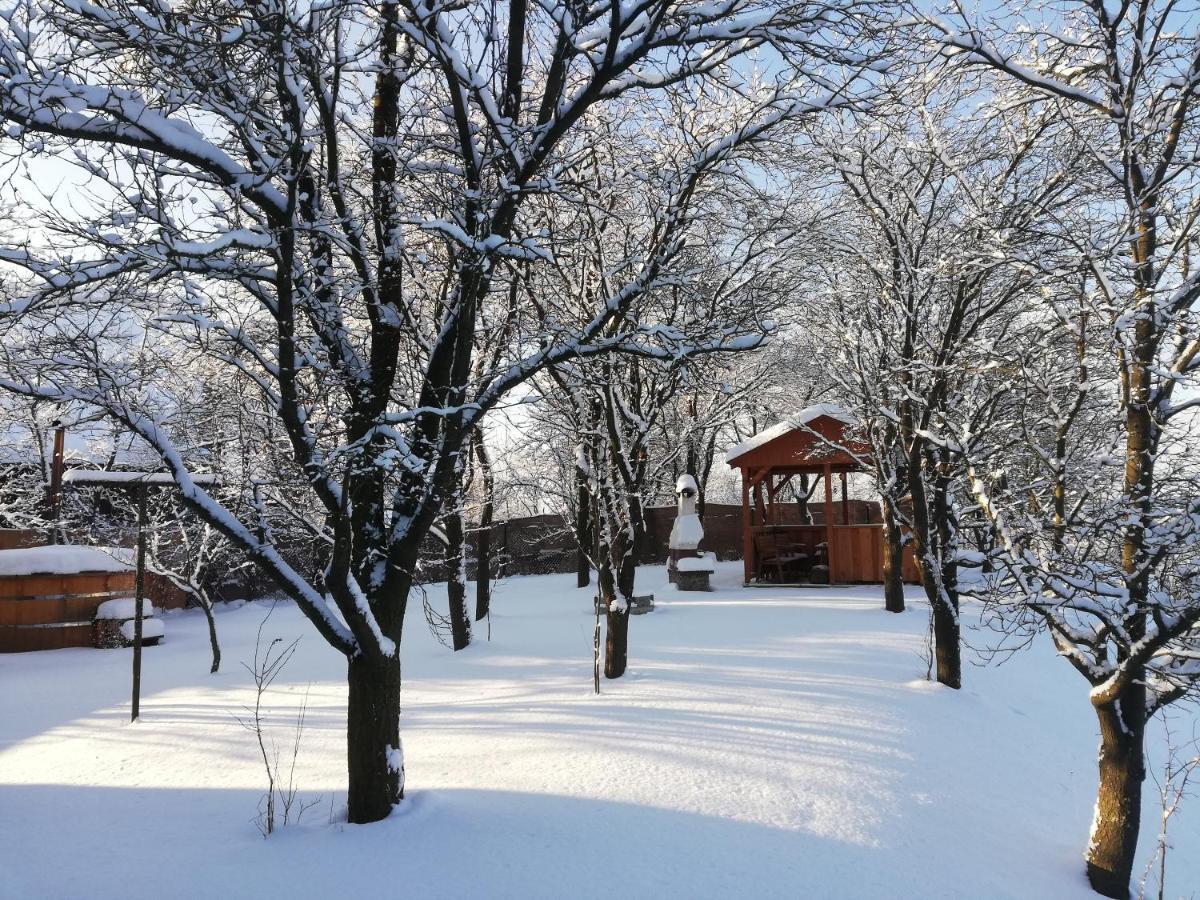 Вилла Drevenica Silvia Липтовски-Микулаш Экстерьер фото